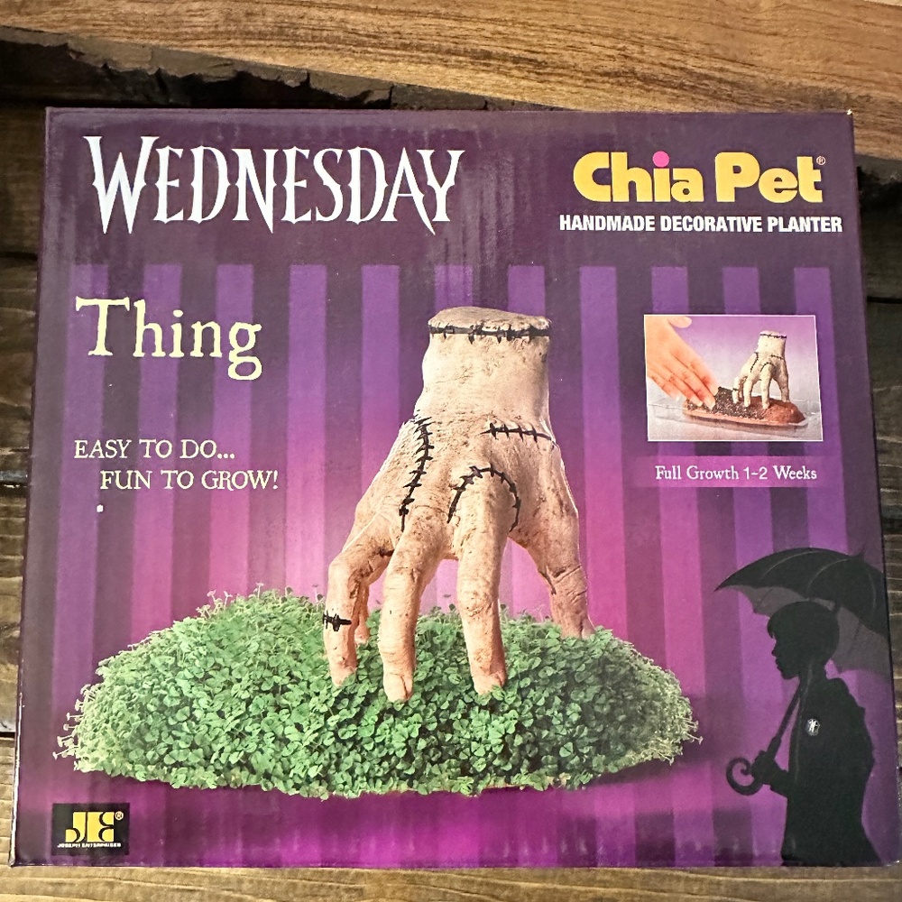 Brand New “Thing” Chia Pet